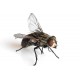 Средства для борьбы с мухами 
